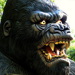 King Kong - Attraction Pour les enfants, Parc d'attractions Rhône