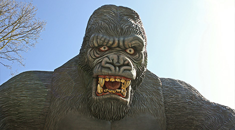 King Kong - Attraction Pour les enfants, Parc d'attractions Rhône