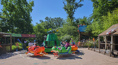 La Ronde des Grenouilles