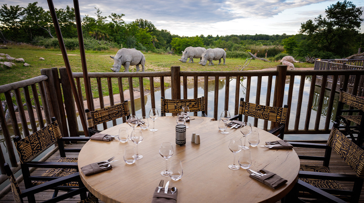 Dînez en tête-à-tête avec les animaux de la plaine africaine