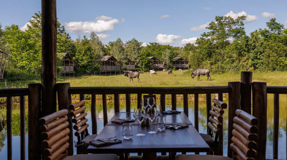 Dînez sur la terrasse du Tanganika face aux animaux sauvages