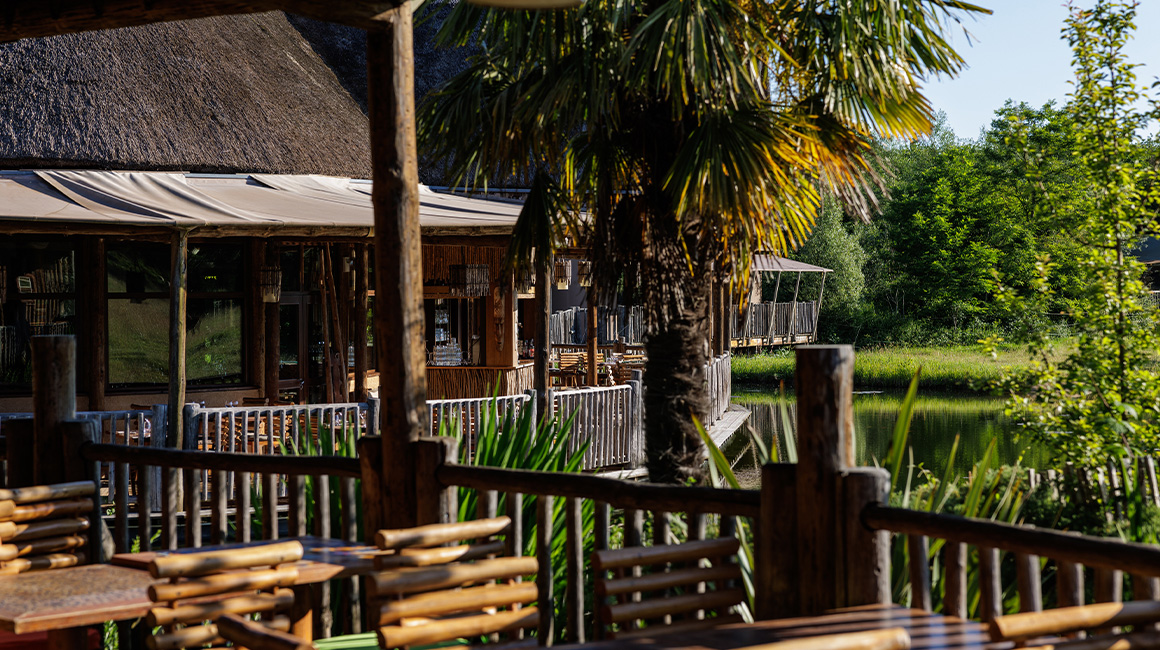 Dégustez un cocktail sur la terrasse du Tanganika avec la vue sur les plus beaux animaux d'Afrique